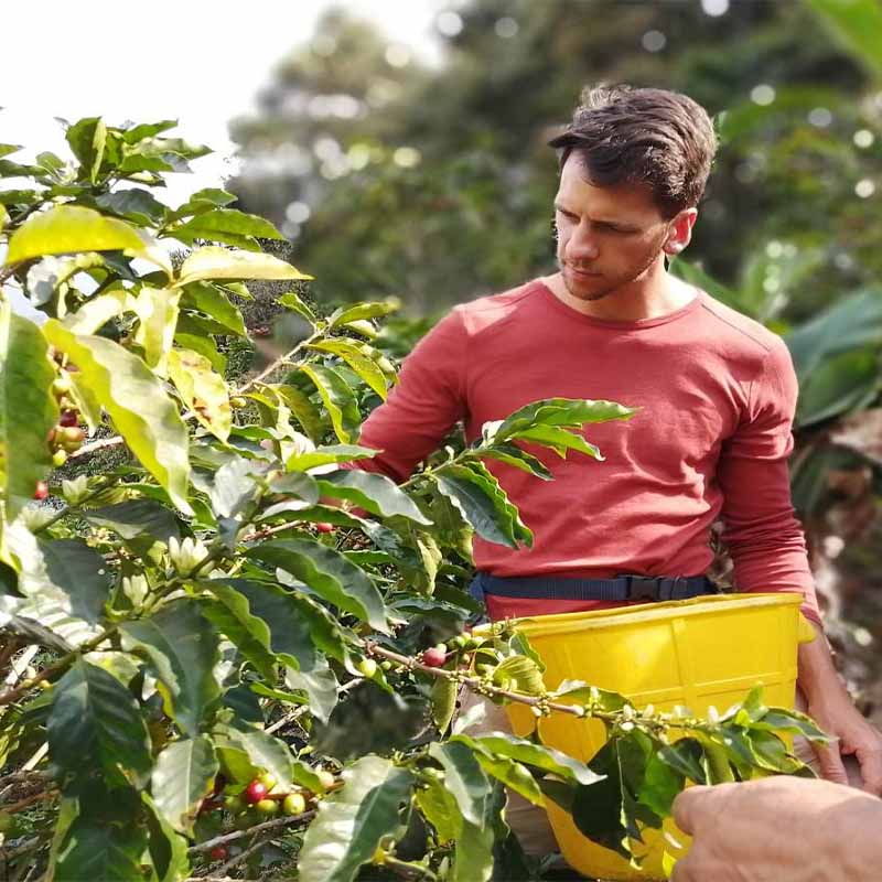 Coffee tour Guatapé